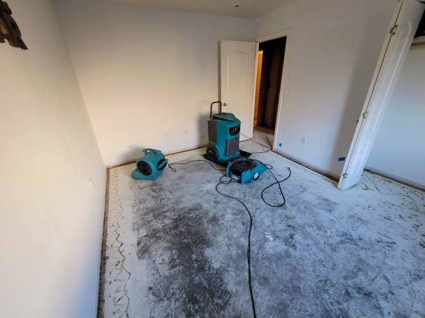Best Professional water damage repair  in Champion Heights, OH