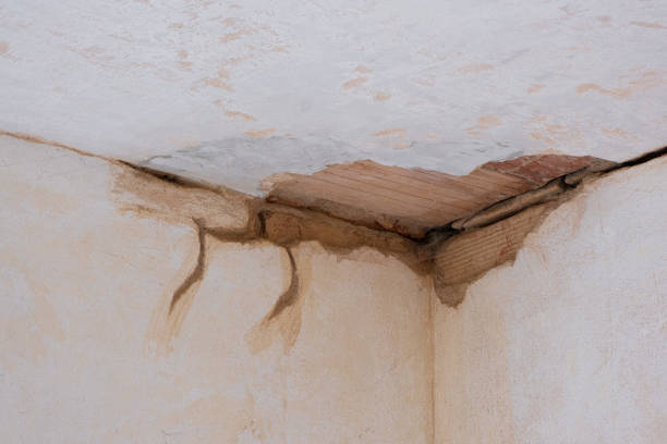 Best Water damage contractors near me  in Champion Heights, OH