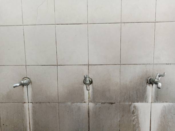 Best Residential water damage restoration  in Champion Heights, OH