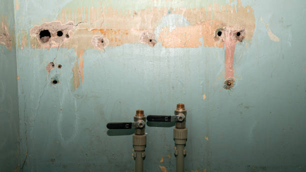 Best Commercial water damage restoration  in Champion Heights, OH