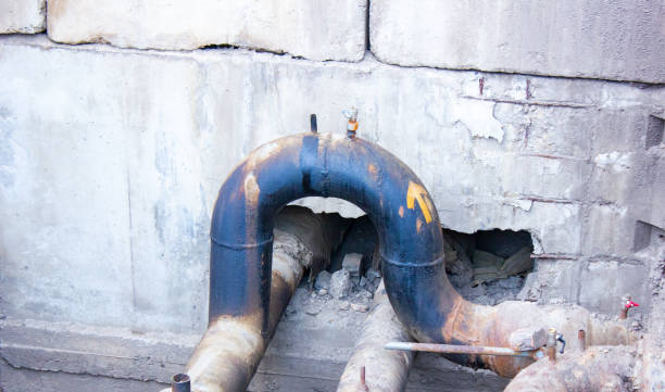 Best Water damage cleanup near me  in Champion Heights, OH