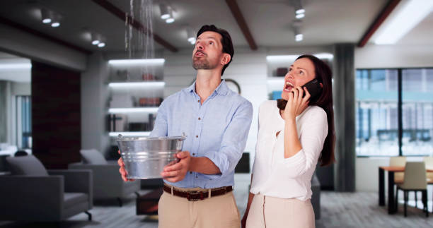 Best Water damage restoration near me  in Champion Heights, OH